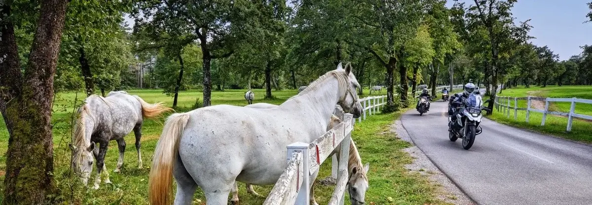 טיול אופנועים בבלקן דרך הכפרים על רקע שדות